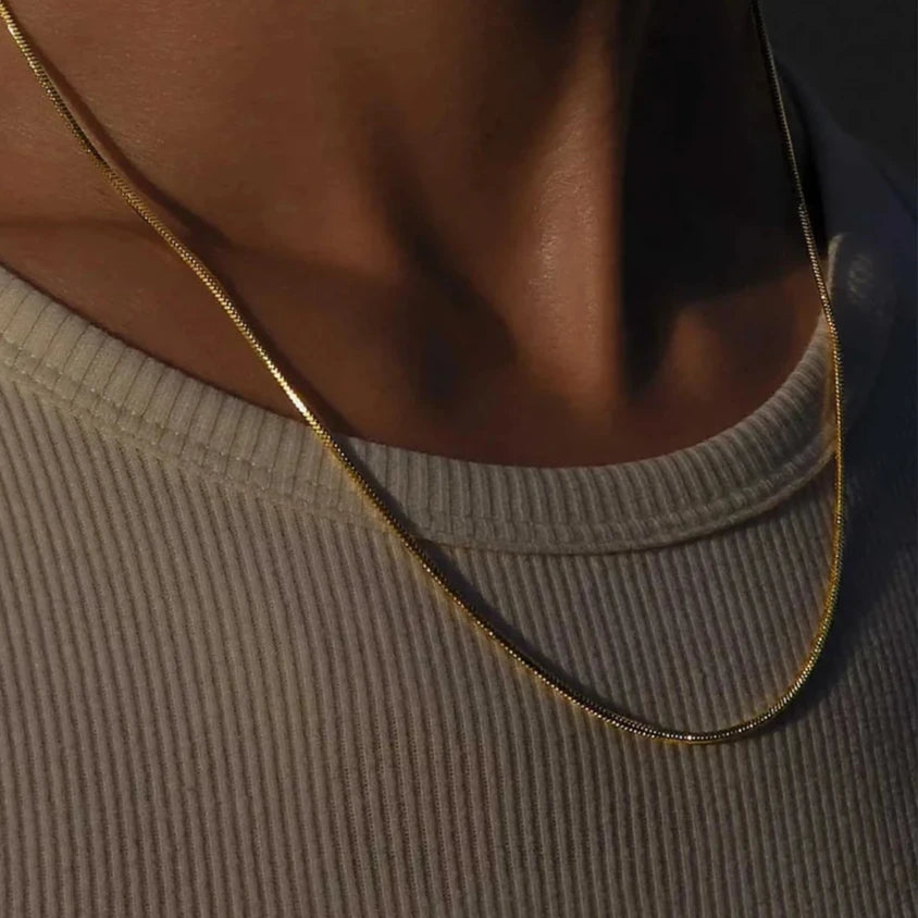 Titanium Necklace  Luxe